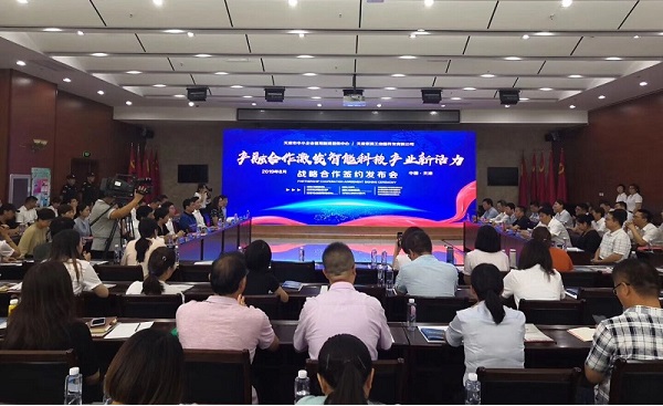 KY平台-KY(中国)一站式服务平台科技喜获千万级担保授信